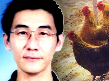 硕士鸡倌光荣的失败史