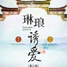 琳琅诱爱3