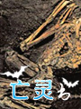 亡灵书
