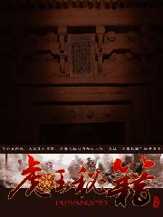虎王秘籍