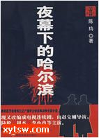 夜幕下的哈尔滨
