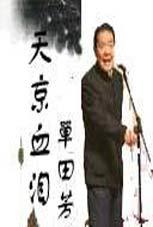 天京血泪