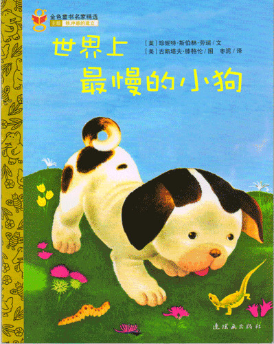 世界上最慢的小狗
