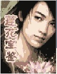 莲花宝鉴