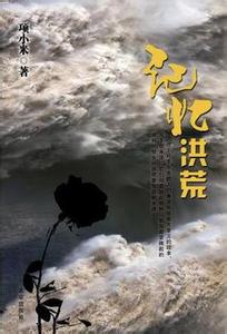 记忆洪荒