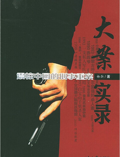 大案实录