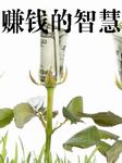 赚钱的智慧
