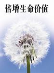 倍增生命价值（下部）