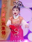 少儿黄梅戏集锦