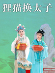 狸猫换太子