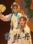 审牡丹