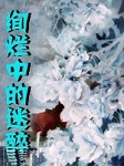绚烂中迷醉