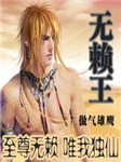 无赖王（第一部）