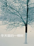 冬天里的一棵树