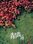 看见青春散场（上卷）