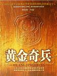黄金奇兵