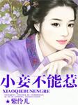 小妾不能惹