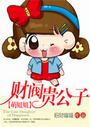 财阀贵公子