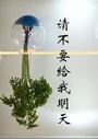 请不要给我明天（第一部）