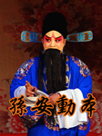 孙安动本