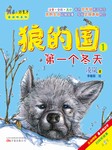狼的国·第一个冬天