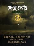 西夏死书（三）