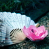 岁月静好，现世安稳