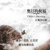 奥汀的祝福（多人合播小说）