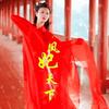 凤妃天下