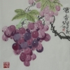 小王子（经典-音质佳-全）