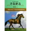 汗血野马