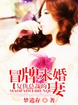复仇总裁的冒牌未婚妻