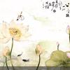碎音专辑