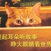离奇故事会2