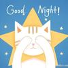 温暖你的夜晚