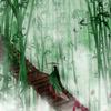 古风短篇～谁的江湖