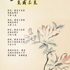 短录集