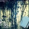邂逅~~来自*沁园的声音小屋*