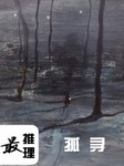 最推理：孤寻