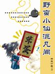 野蛮小仙混凡间