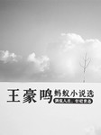 王豪鸣蚂蚁小说选