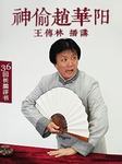 神偷赵华阳