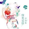 缘来爱情不加V