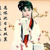 红楼梦-白话-精致女王播讲