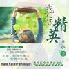 我不是精英【多人剧】