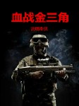血战金三角