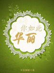 你如此华丽